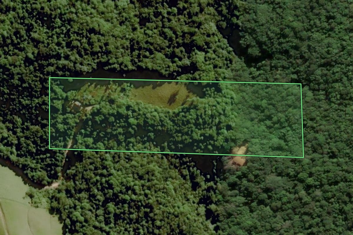 Imagem de satélite do imóvel rural em Grão-Pará (SC), com o contorno declarado no CAR desenhado por cima.