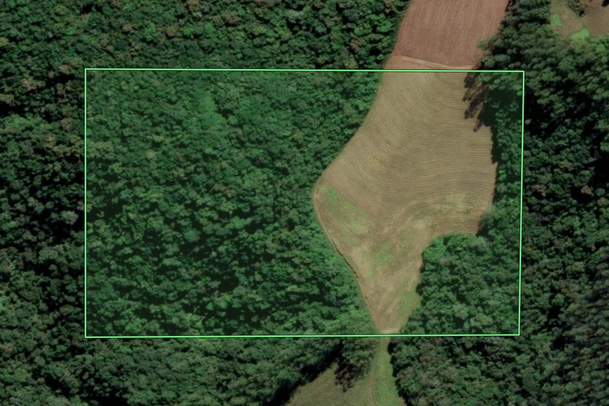Imagem de satélite do imóvel rural em Grão-Pará (SC), com o contorno declarado no CAR desenhado por cima.