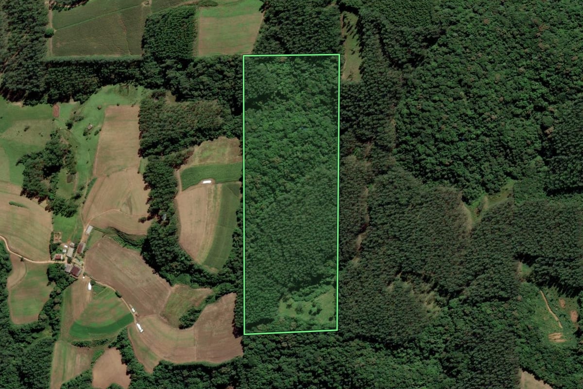 Imagem de satélite do imóvel rural em Grão-Pará (SC), com o contorno declarado no CAR desenhado por cima.