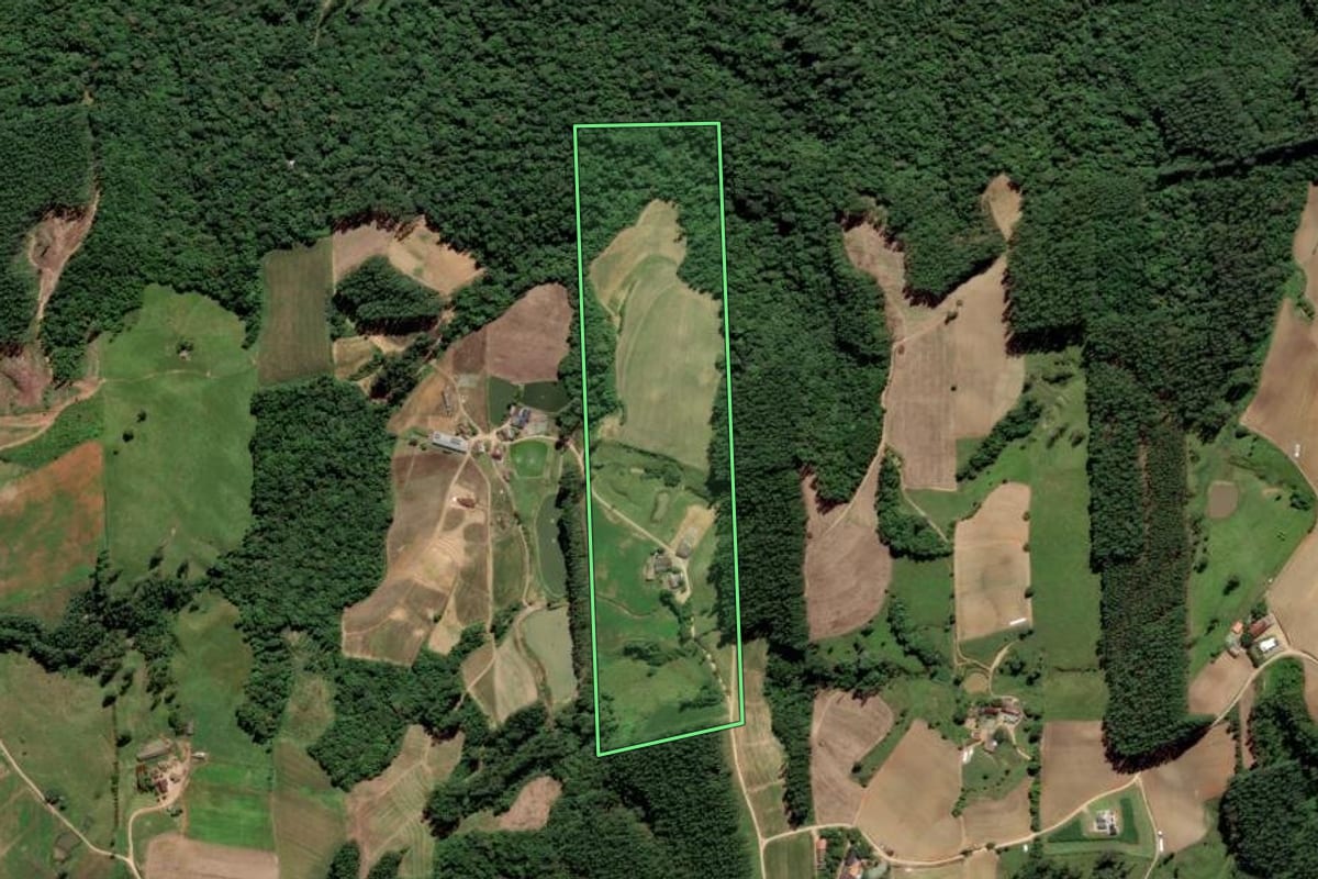 Imagem de satélite do imóvel rural em Grão-Pará (SC), com o contorno declarado no CAR desenhado por cima.