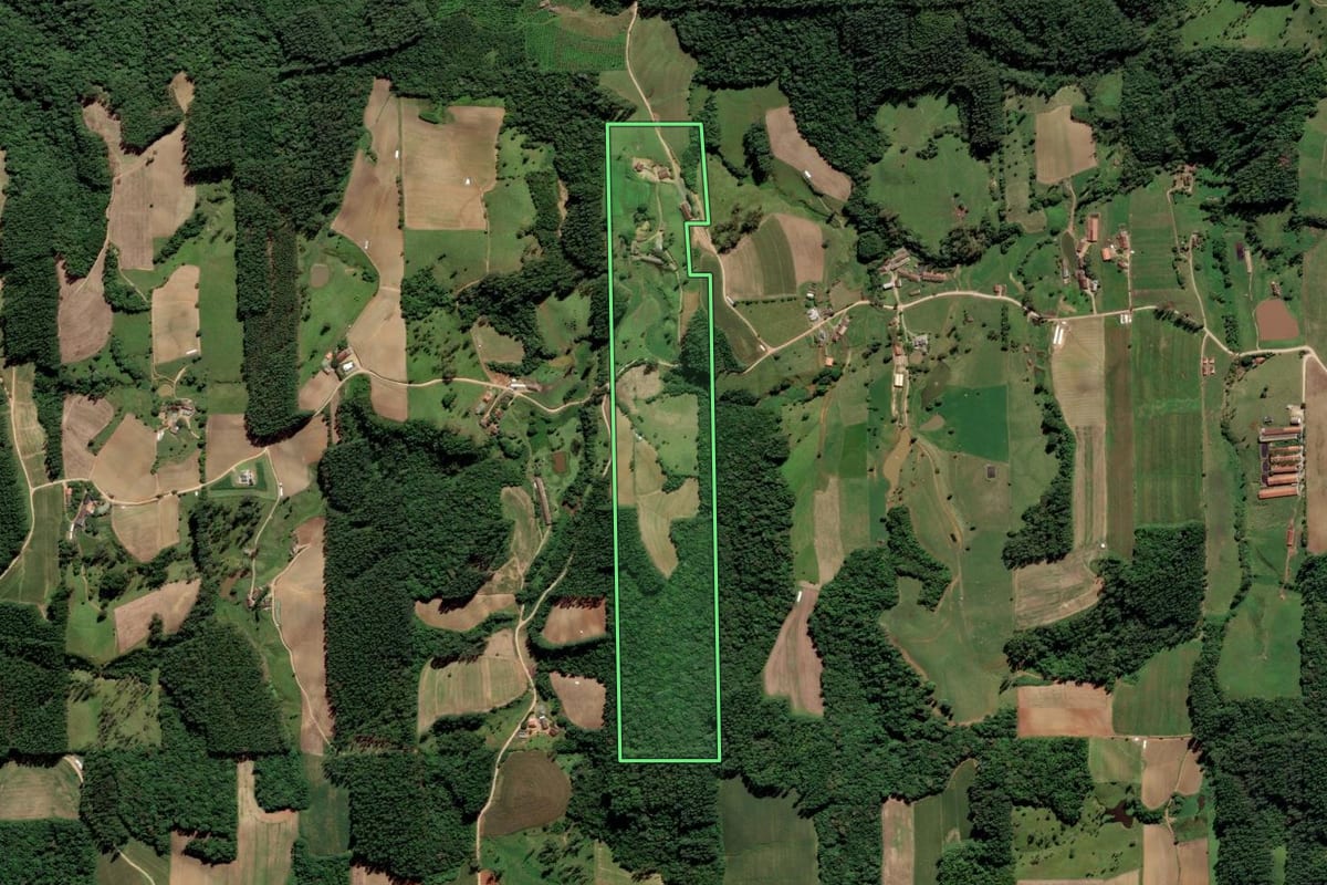 Imagem de satélite do imóvel rural em Grão-Pará (SC), com o contorno declarado no CAR desenhado por cima.