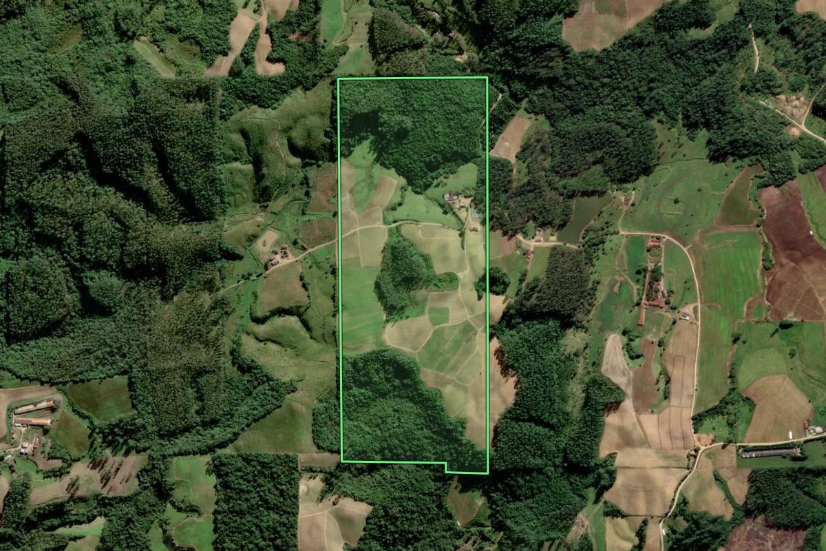 Imagem de satélite do imóvel rural em Grão-Pará (SC), com o contorno declarado no CAR desenhado por cima.