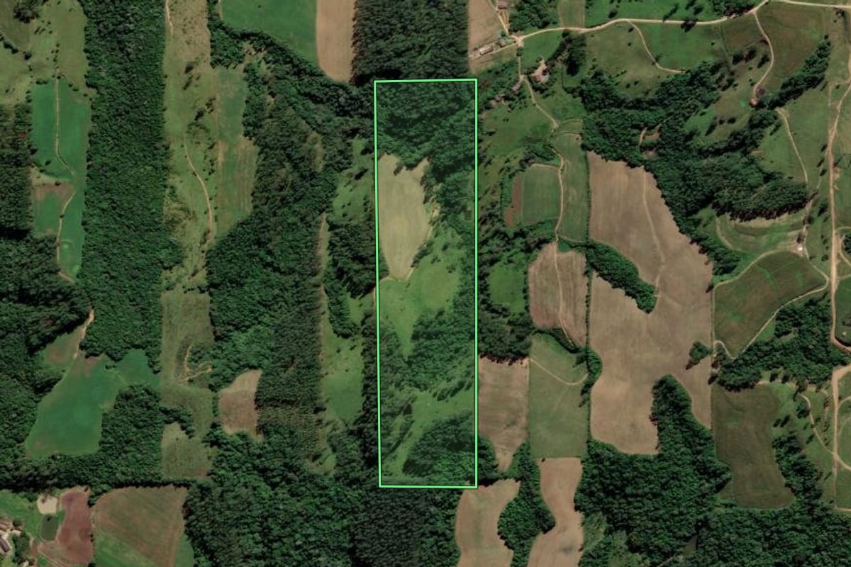 Imagem de satélite do imóvel rural em Grão-Pará (SC), com o contorno declarado no CAR desenhado por cima.
