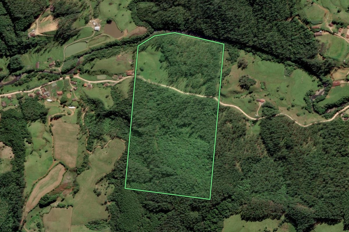 Imagem de satélite do imóvel rural em Grão-Pará (SC), com o contorno declarado no CAR desenhado por cima.