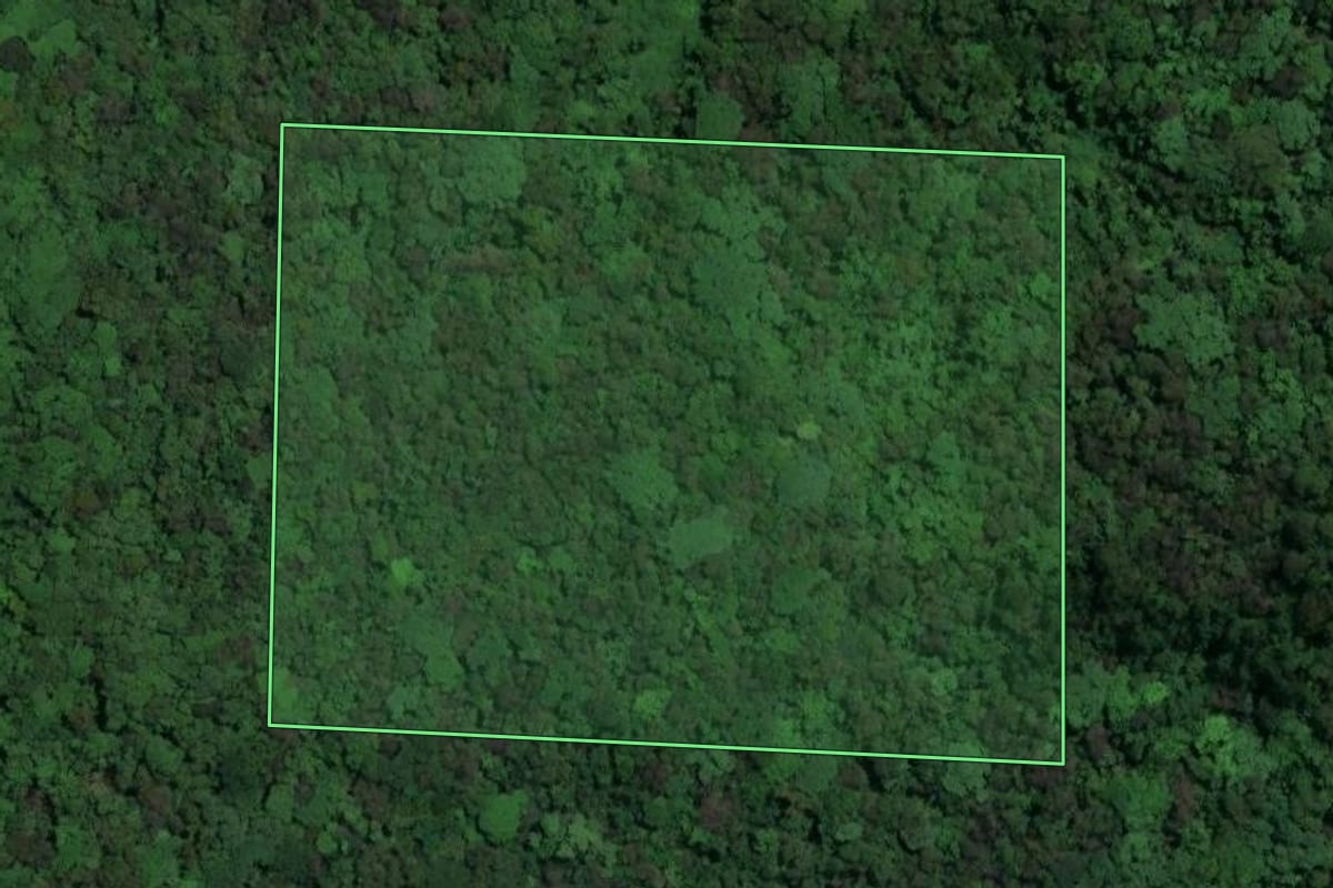 Imagem de satélite do imóvel rural em Grão-Pará (SC), com o contorno declarado no CAR desenhado por cima.