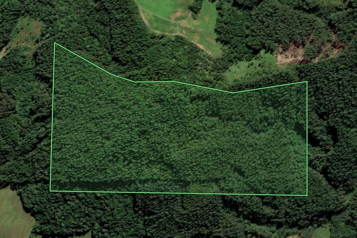 Imagem de satélite do imóvel rural em Grão-Pará (SC), com o contorno declarado no CAR desenhado por cima.