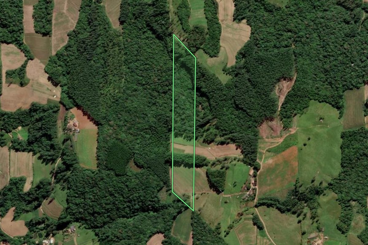 Imagem de satélite do imóvel rural em Grão-Pará (SC), com o contorno declarado no CAR desenhado por cima.