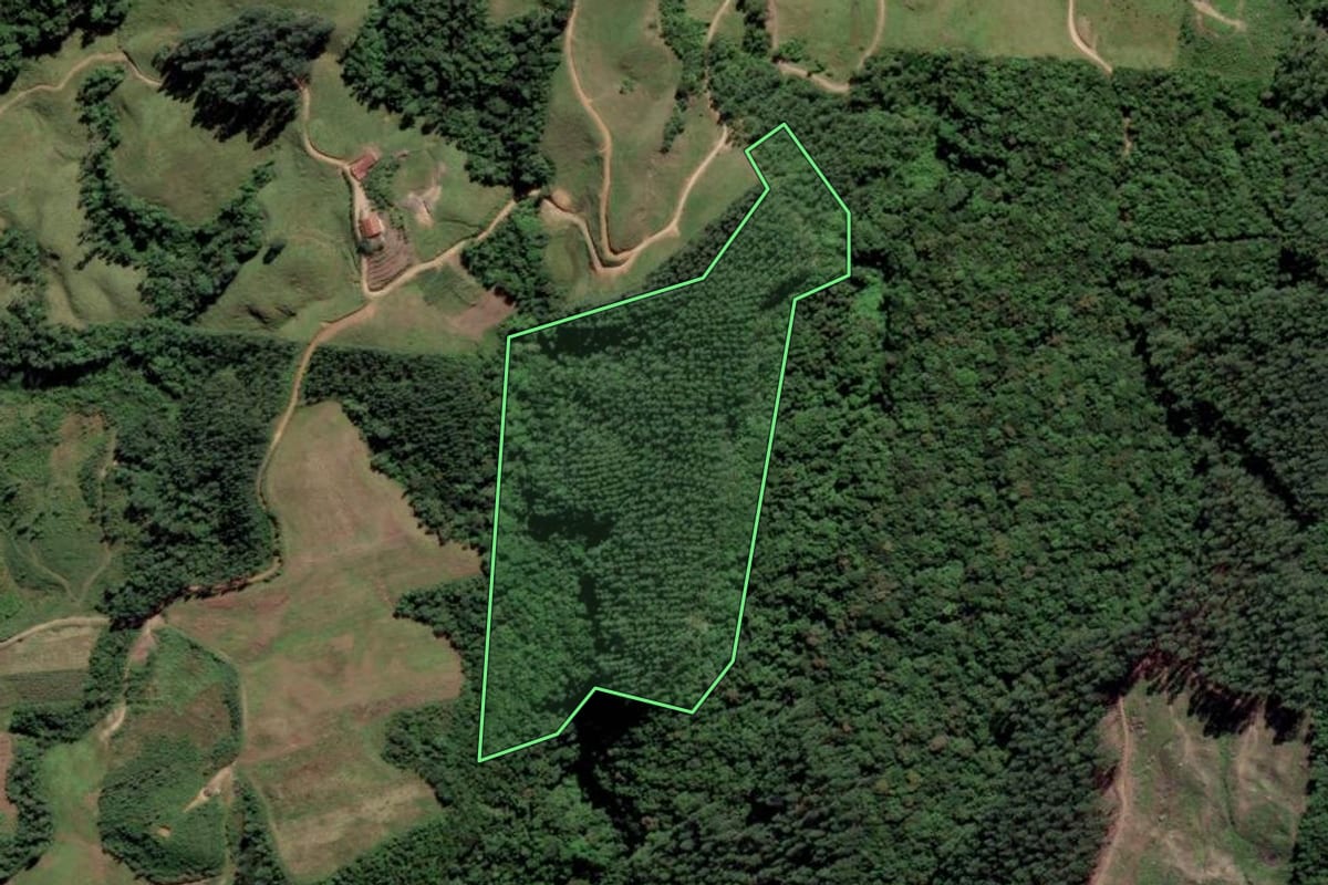Imagem de satélite do imóvel rural em Grão-Pará (SC), com o contorno declarado no CAR desenhado por cima.
