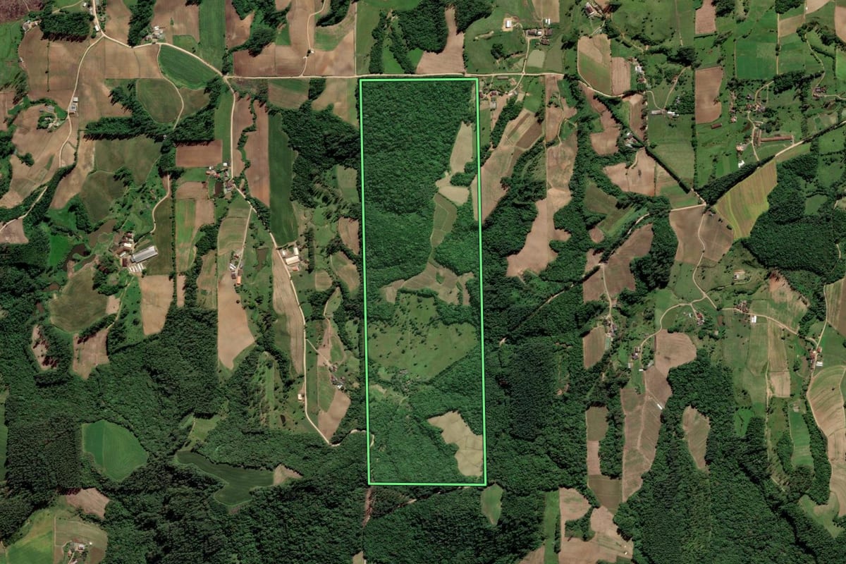 Imagem de satélite do imóvel rural em Grão-Pará (SC), com o contorno declarado no CAR desenhado por cima.