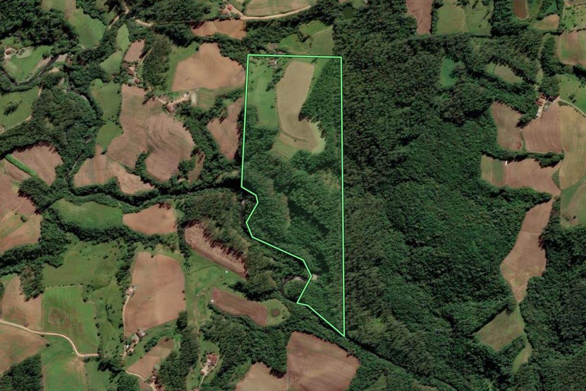 Imagem de satélite do imóvel rural em Grão-Pará (SC), com o contorno declarado no CAR desenhado por cima.