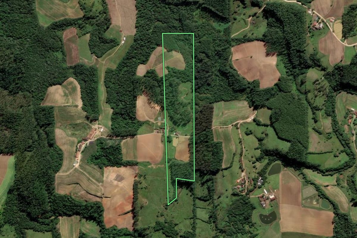 Imagem de satélite do imóvel rural em Grão-Pará (SC), com o contorno declarado no CAR desenhado por cima.