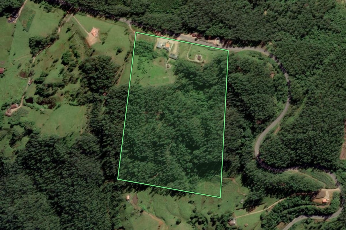 Imagem de satélite do imóvel rural em Grão-Pará (SC), com o contorno declarado no CAR desenhado por cima.