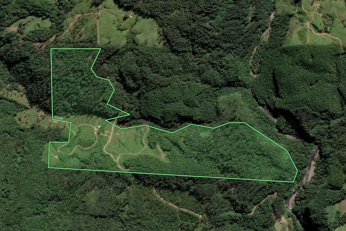 Imagem de satélite do imóvel rural em Grão-Pará (SC), com o contorno declarado no CAR desenhado por cima.