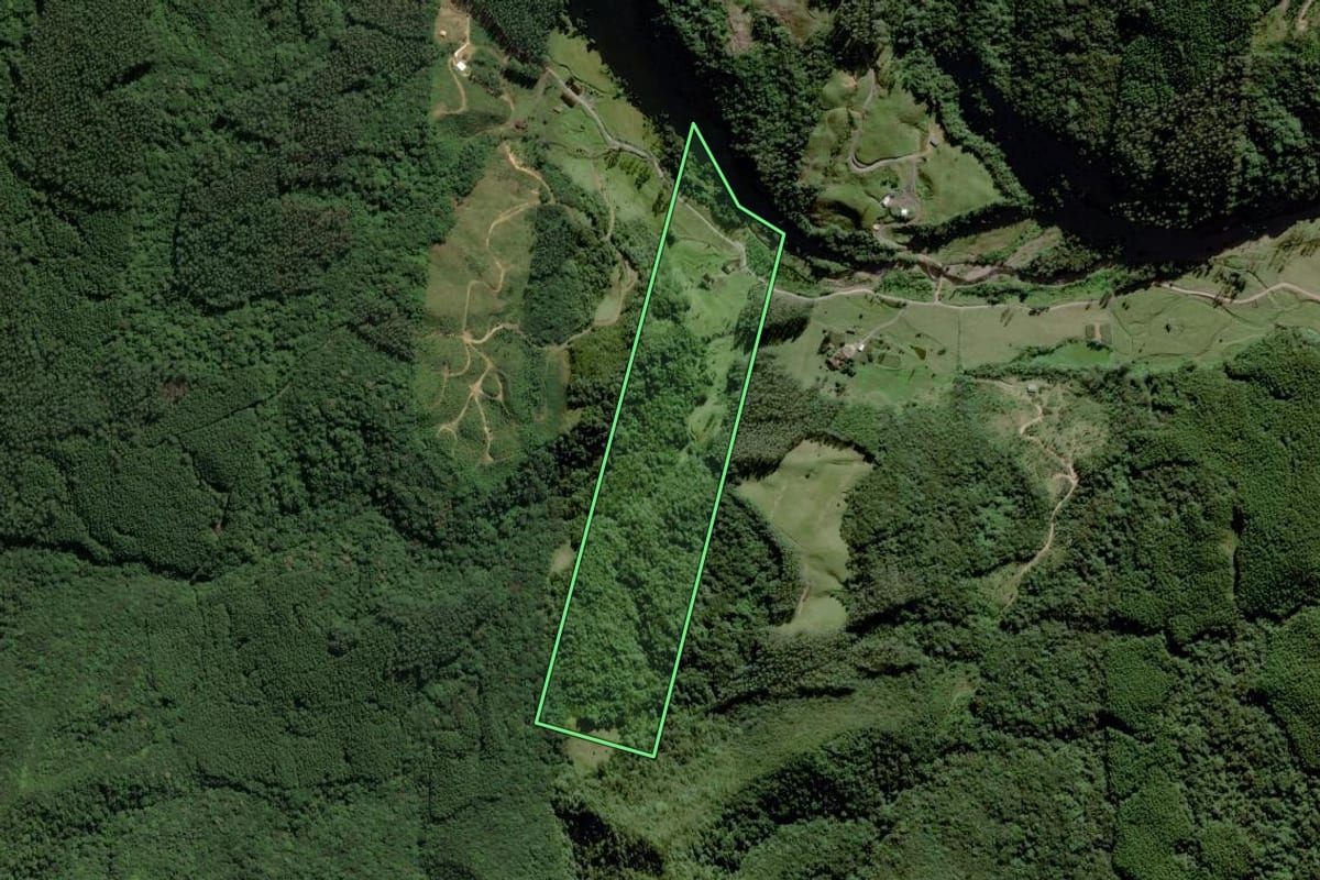 Imagem de satélite do imóvel rural em Grão-Pará (SC), com o contorno declarado no CAR desenhado por cima.