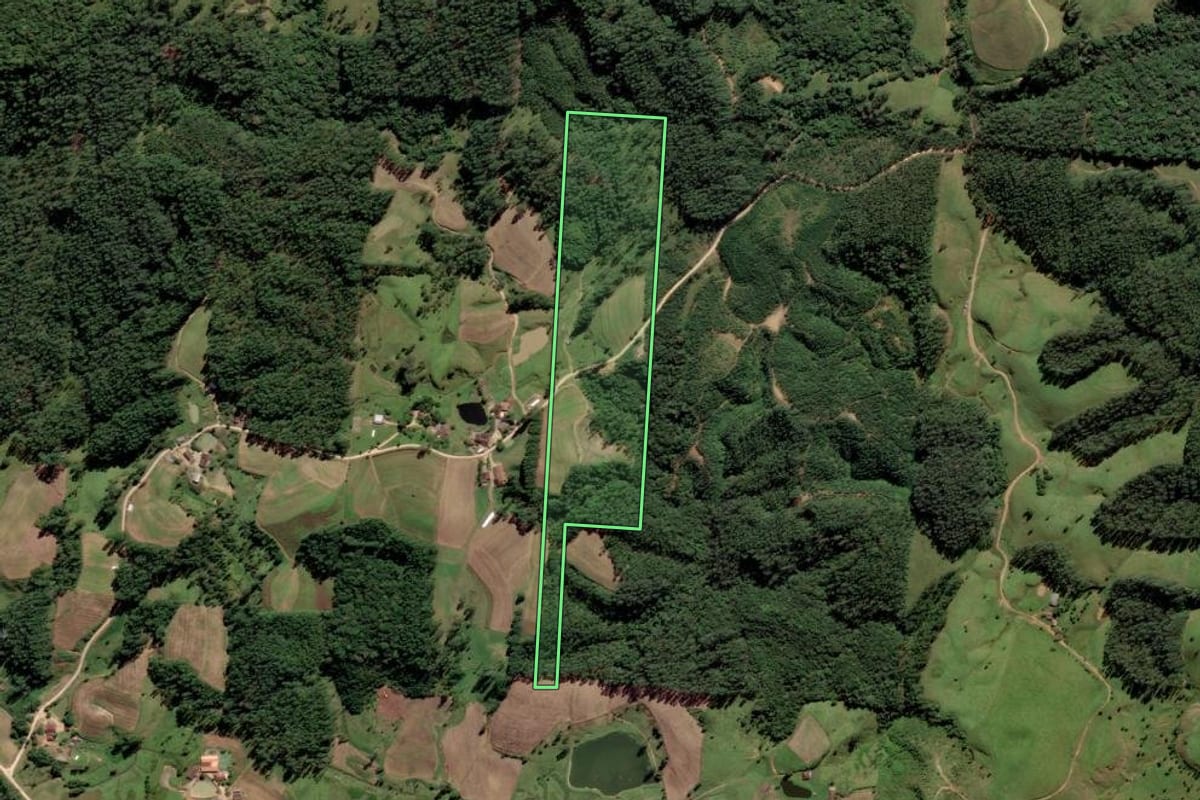 Imagem de satélite do imóvel rural em Grão-Pará (SC), com o contorno declarado no CAR desenhado por cima.