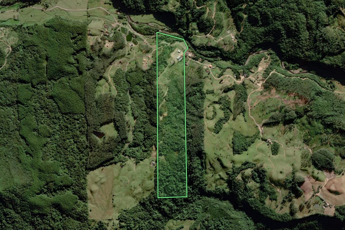 Imagem de satélite do imóvel rural em Grão-Pará (SC), com o contorno declarado no CAR desenhado por cima.