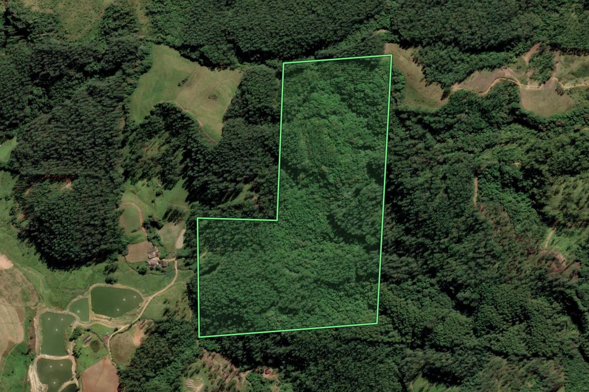 Imagem de satélite do imóvel rural em Grão-Pará (SC), com o contorno declarado no CAR desenhado por cima.