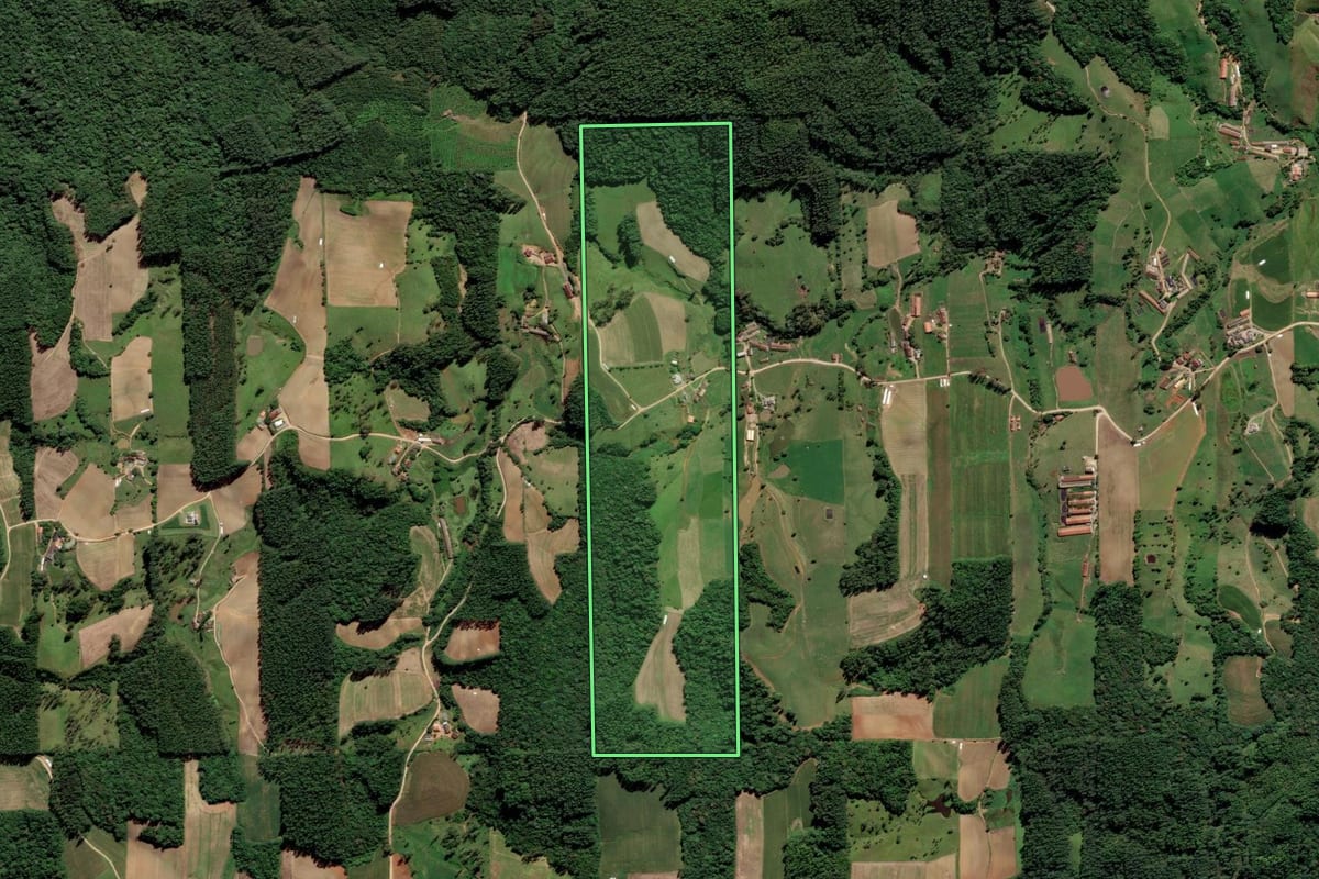 Imagem de satélite do imóvel rural em Grão-Pará (SC), com o contorno declarado no CAR desenhado por cima.