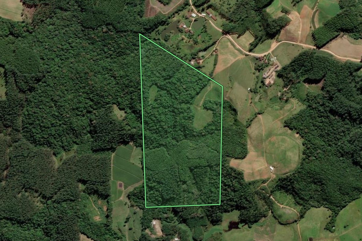 Imagem de satélite do imóvel rural em Grão-Pará (SC), com o contorno declarado no CAR desenhado por cima.