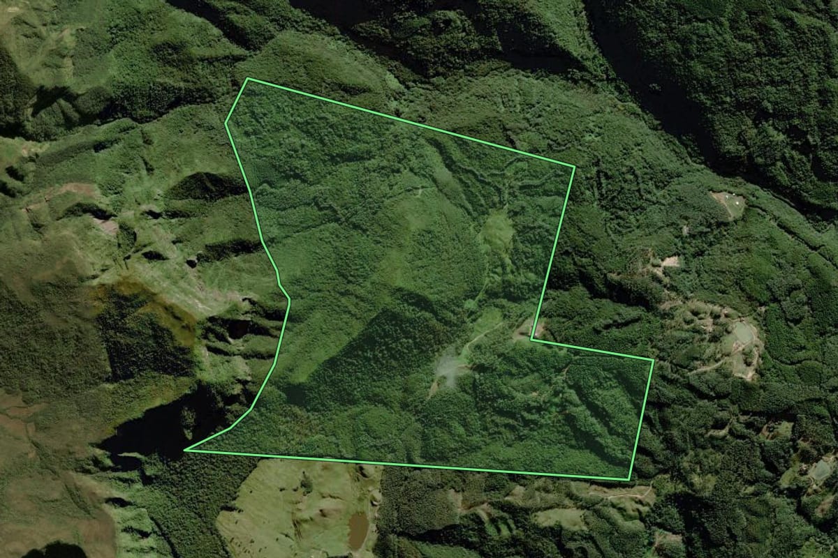 Imagem de satélite do imóvel rural em Grão-Pará (SC), com o contorno declarado no CAR desenhado por cima.