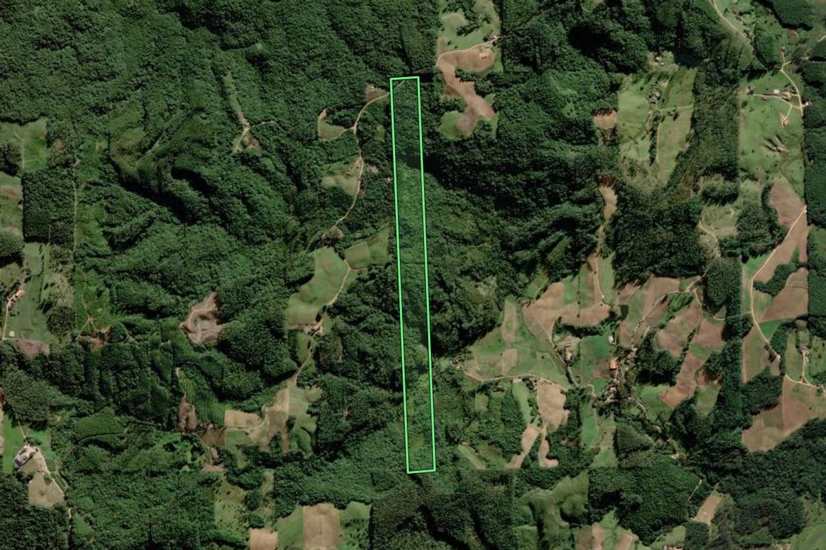 Imagem de satélite do imóvel rural em Grão-Pará (SC), com o contorno declarado no CAR desenhado por cima.