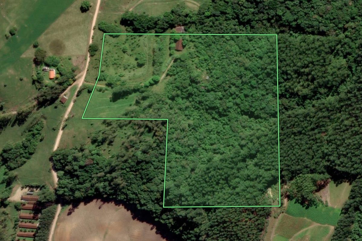 Imagem de satélite do imóvel rural em Grão-Pará (SC), com o contorno declarado no CAR desenhado por cima.