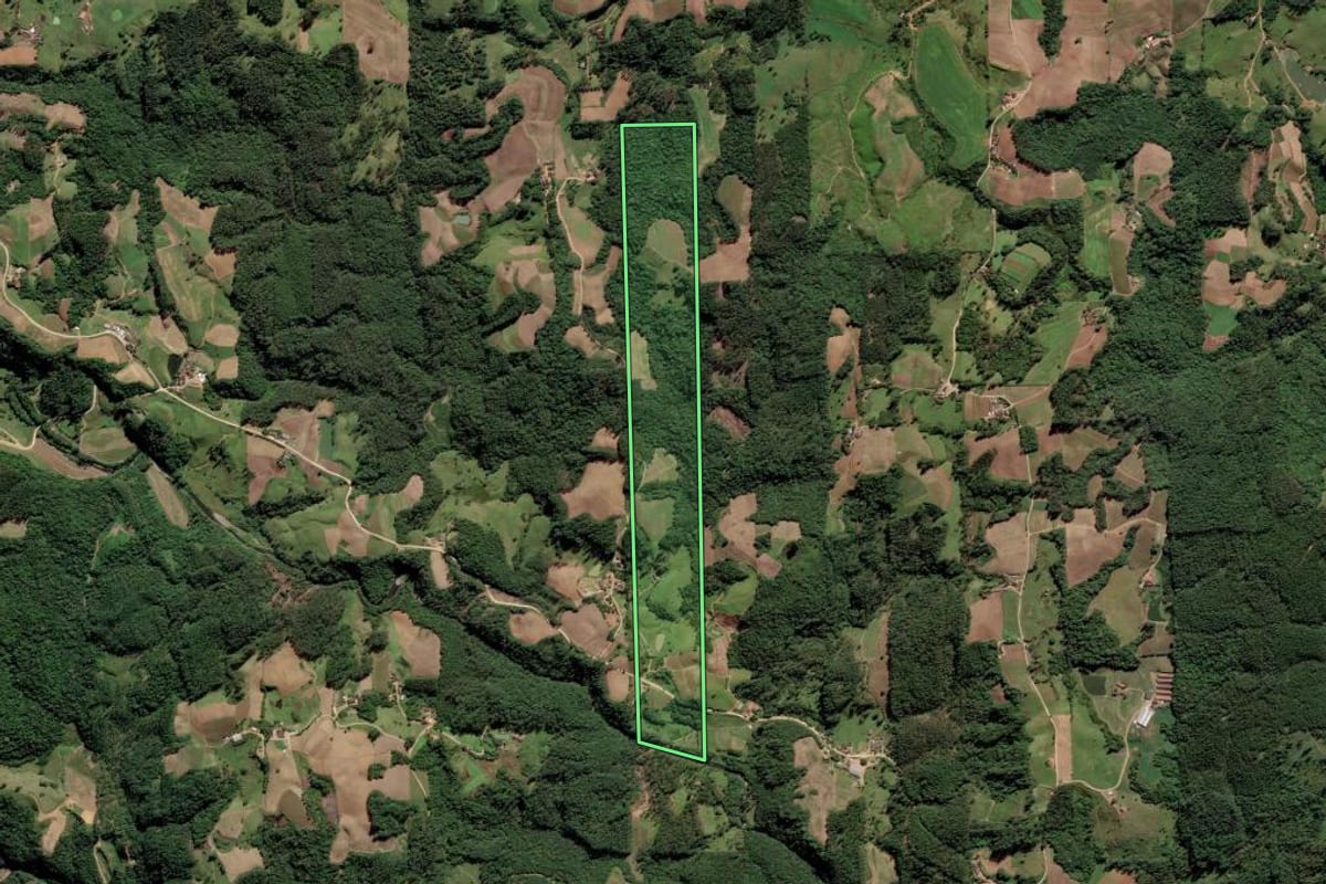 Imagem de satélite do imóvel rural em Grão-Pará (SC), com o contorno declarado no CAR desenhado por cima.