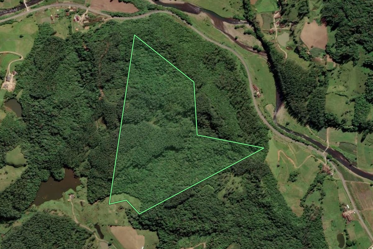 Imagem de satélite do imóvel rural em Grão-Pará (SC), com o contorno declarado no CAR desenhado por cima.