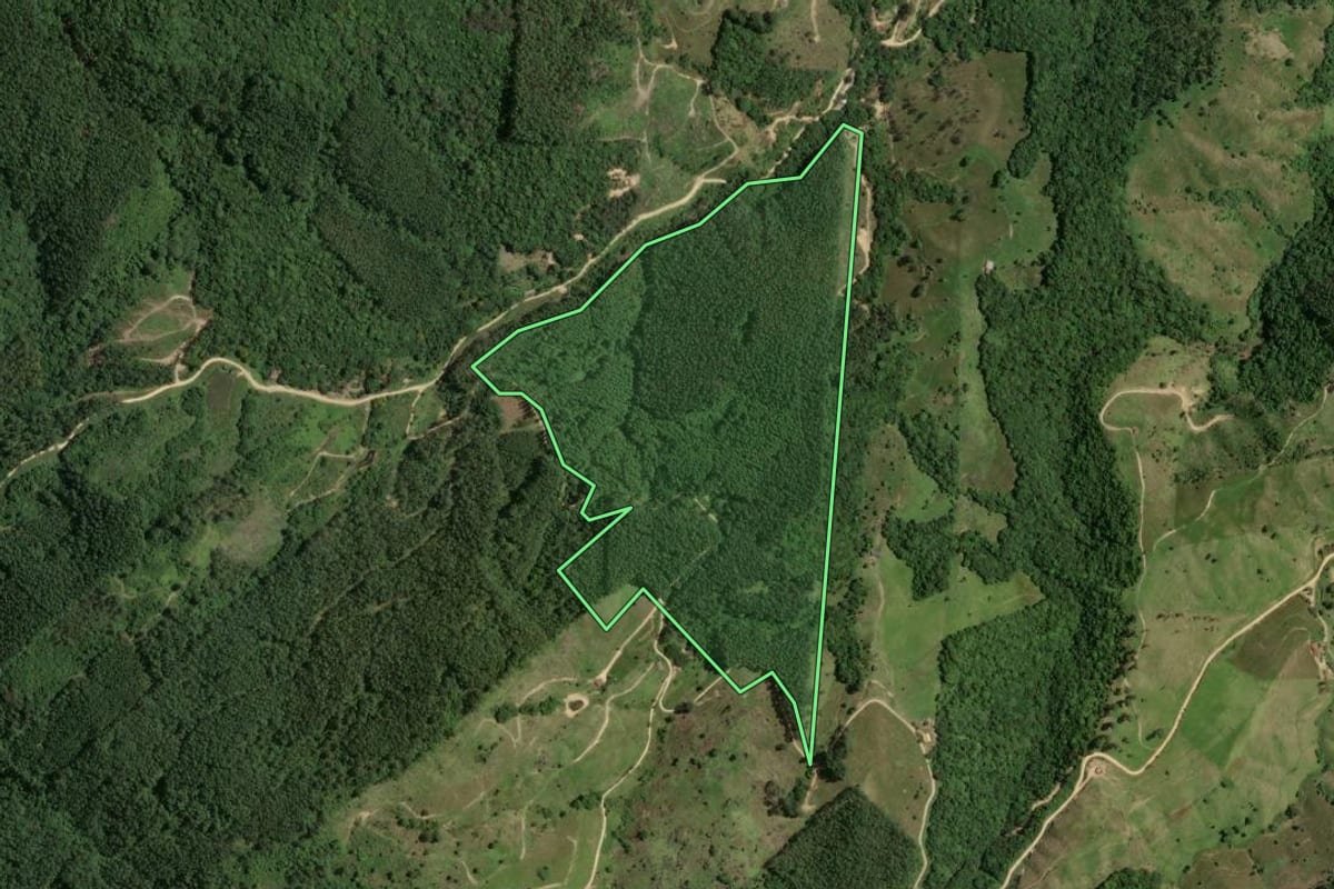 Imagem de satélite do imóvel rural em Gravatal (SC), com o contorno declarado no CAR desenhado por cima.