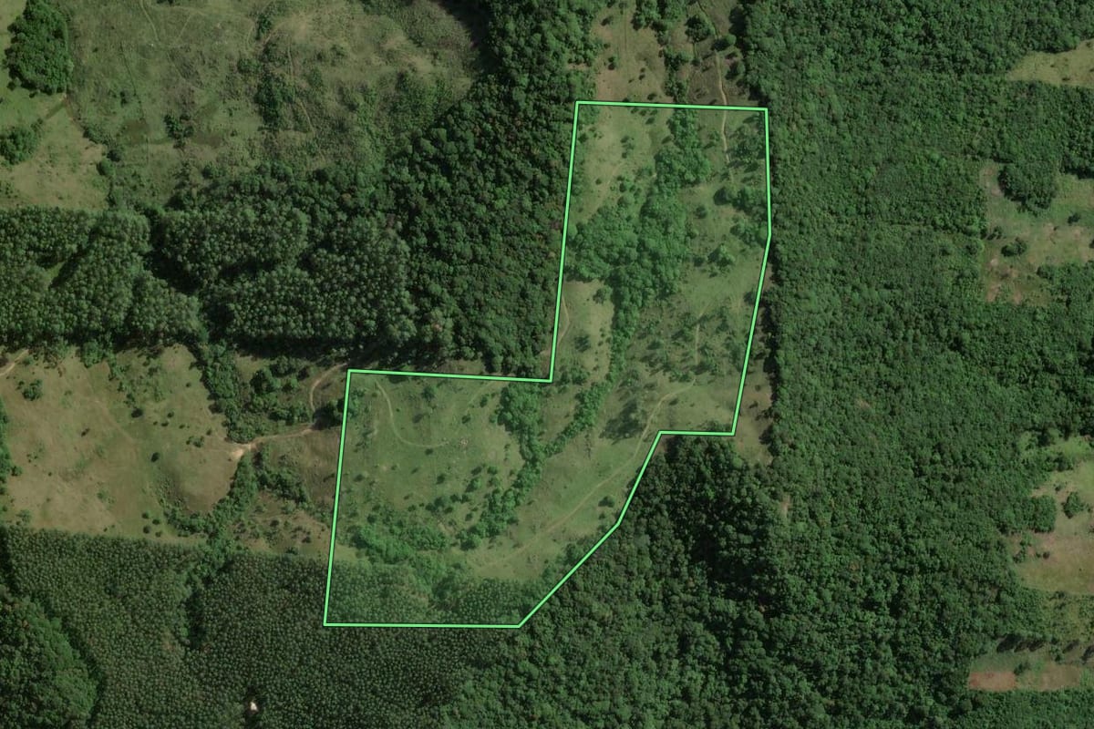 Imagem de satélite do imóvel rural em Gravatal (SC), com o contorno declarado no CAR desenhado por cima.
