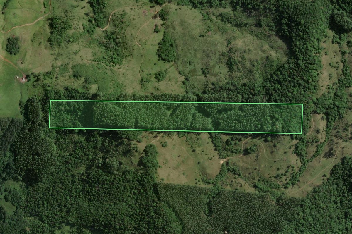 Imagem de satélite do imóvel rural em Gravatal (SC), com o contorno declarado no CAR desenhado por cima.