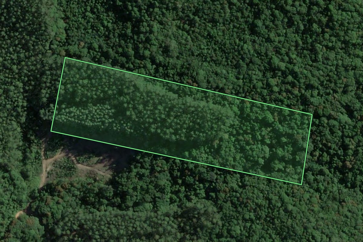 Imagem de satélite do imóvel rural em Gravatal (SC), com o contorno declarado no CAR desenhado por cima.