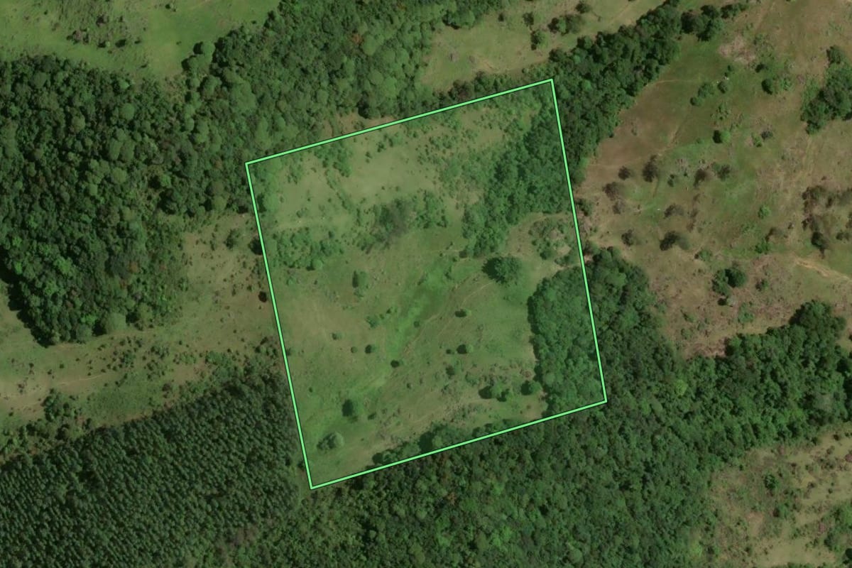 Imagem de satélite do imóvel rural em Gravatal (SC), com o contorno declarado no CAR desenhado por cima.
