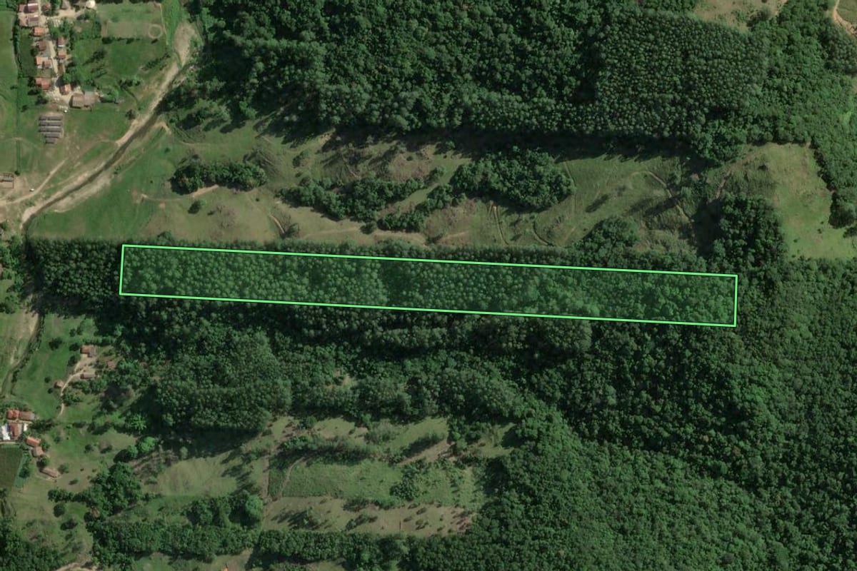Imagem de satélite do imóvel rural em Gravatal (SC), com o contorno declarado no CAR desenhado por cima.