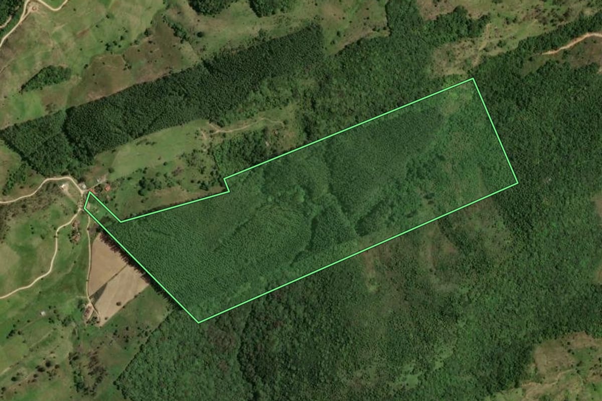 Imagem de satélite do imóvel rural em Gravatal (SC), com o contorno declarado no CAR desenhado por cima.