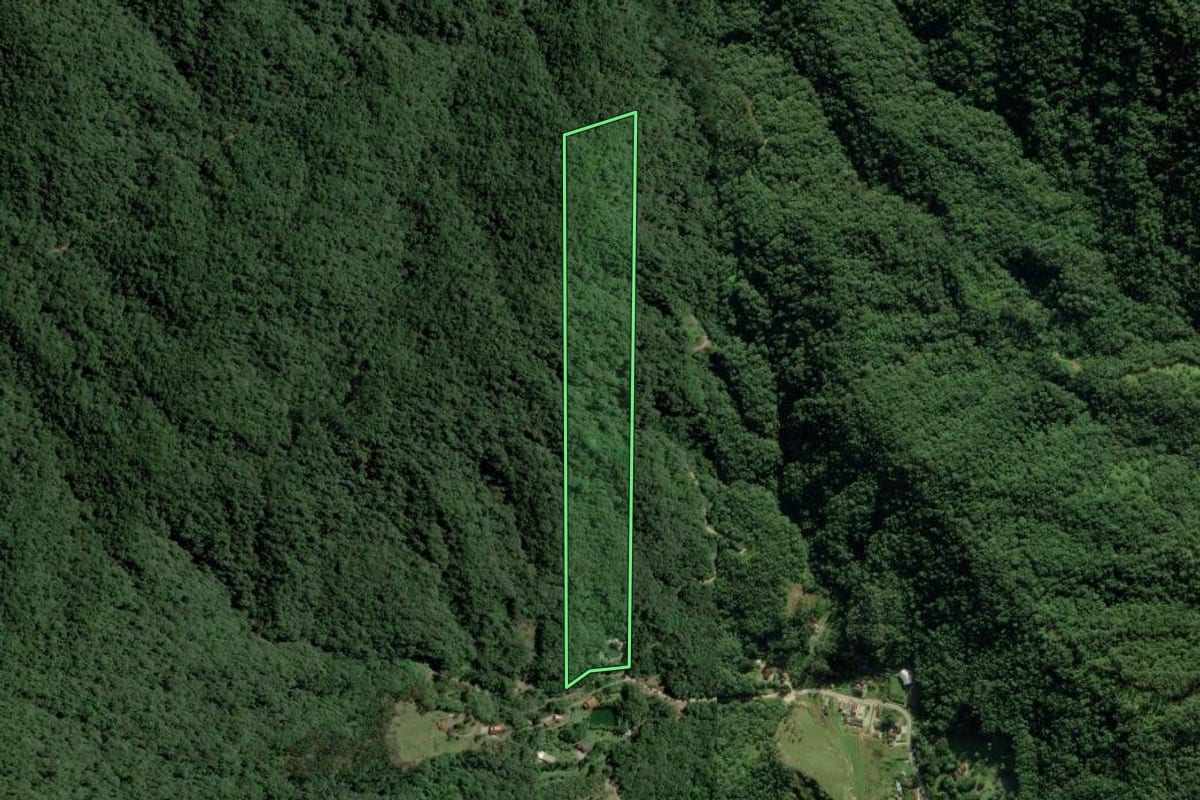 Imagem de satélite do imóvel rural em Guabiruba (SC), com o contorno declarado no CAR desenhado por cima.