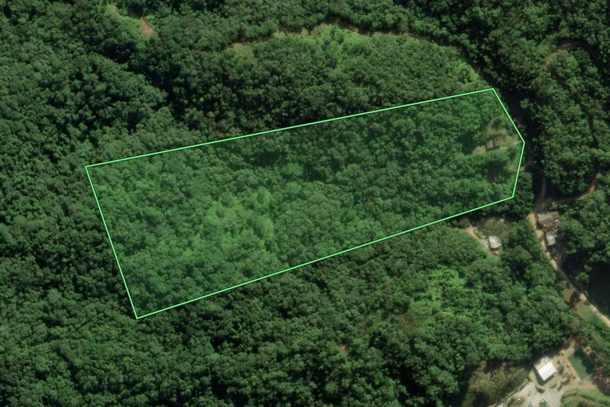 Imagem de satélite do imóvel rural em Guabiruba (SC), com o contorno declarado no CAR desenhado por cima.