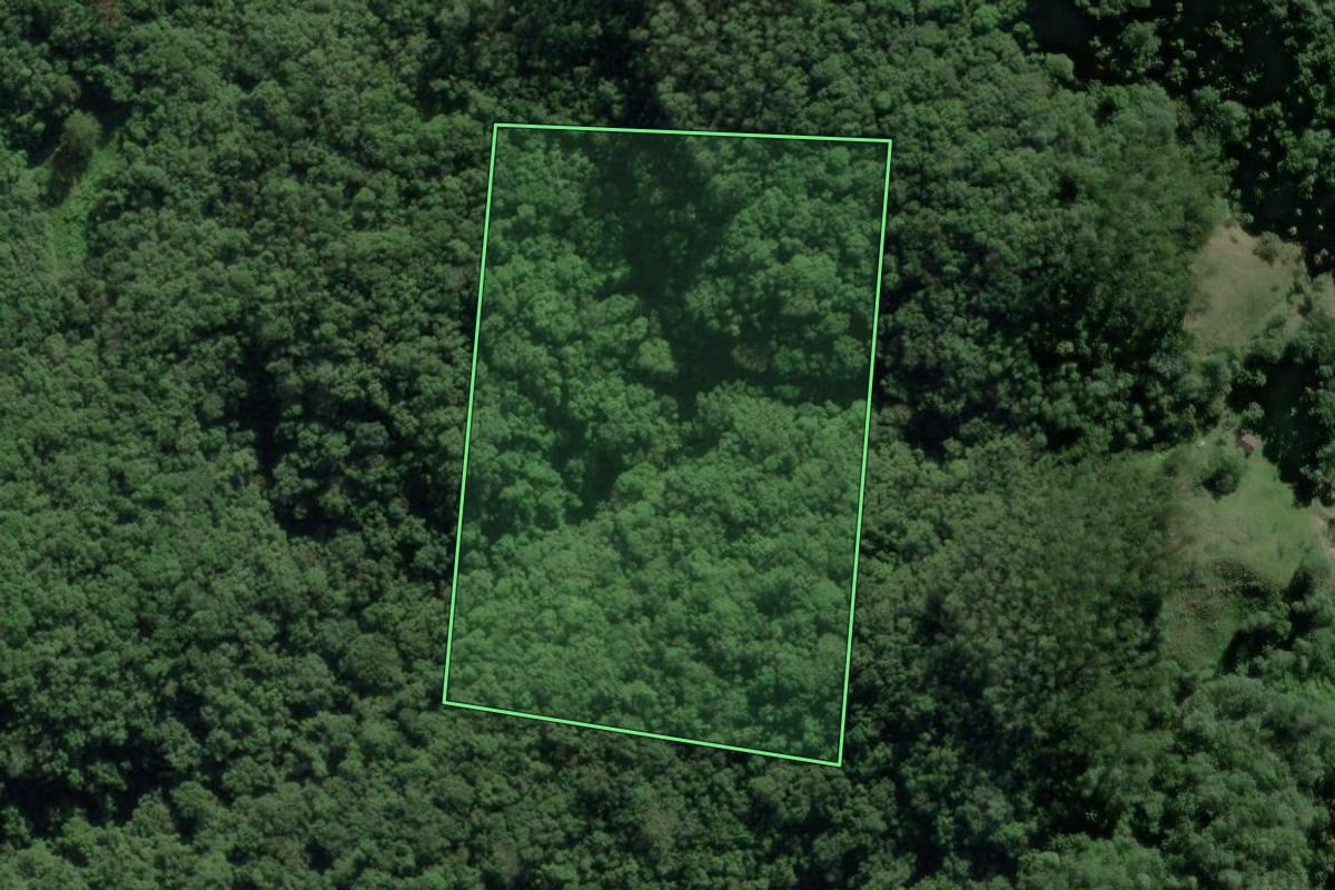 Imagem de satélite do imóvel rural em Guabiruba (SC), com o contorno declarado no CAR desenhado por cima.