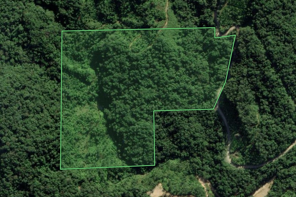Imagem de satélite do imóvel rural em Guabiruba (SC), com o contorno declarado no CAR desenhado por cima.