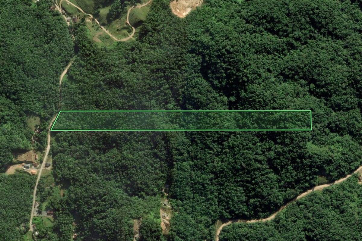 Imagem de satélite do imóvel rural em Guabiruba (SC), com o contorno declarado no CAR desenhado por cima.