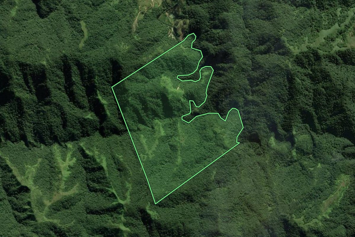 Imagem de satélite do imóvel rural em Guabiruba (SC), com o contorno declarado no CAR desenhado por cima.