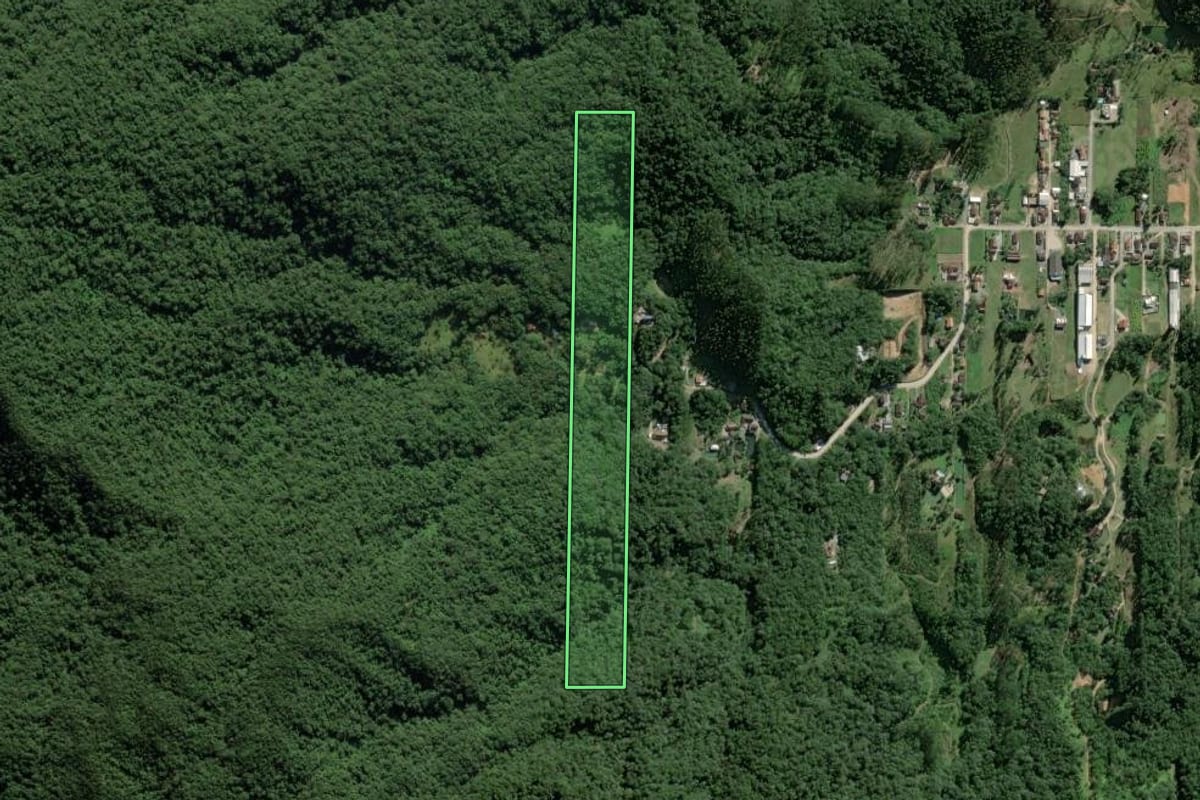 Imagem de satélite do imóvel rural em Guabiruba (SC), com o contorno declarado no CAR desenhado por cima.