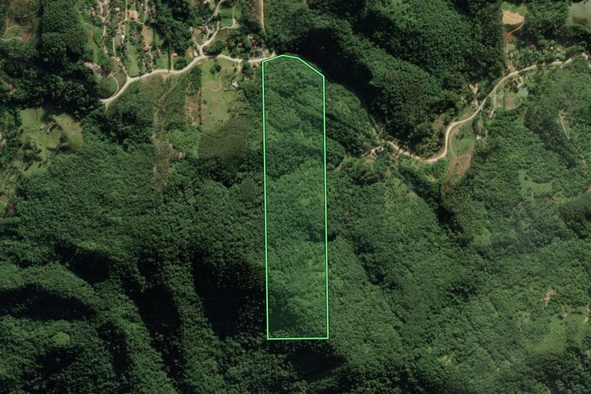 Imagem de satélite do imóvel rural em Guabiruba (SC), com o contorno declarado no CAR desenhado por cima.