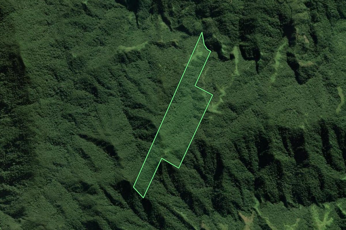 Imagem de satélite do imóvel rural em Guabiruba (SC), com o contorno declarado no CAR desenhado por cima.