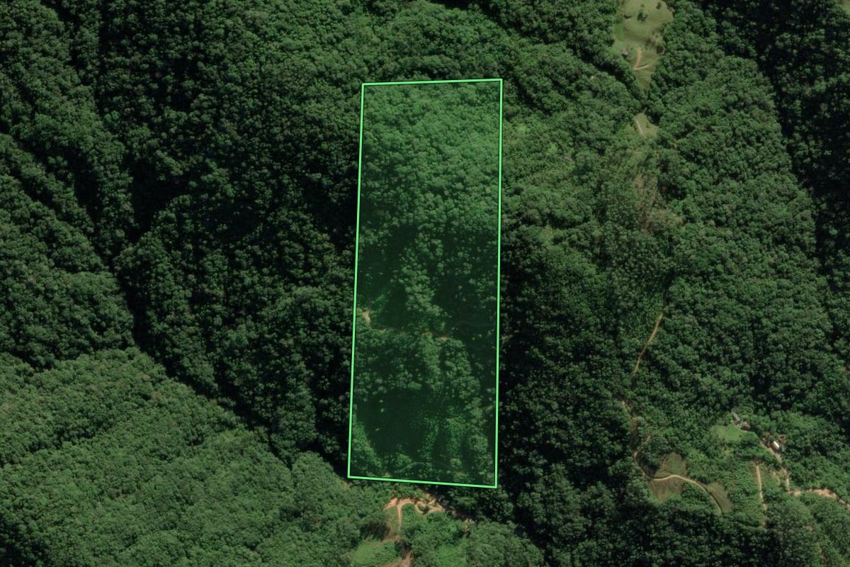 Imagem de satélite do imóvel rural em Guabiruba (SC), com o contorno declarado no CAR desenhado por cima.