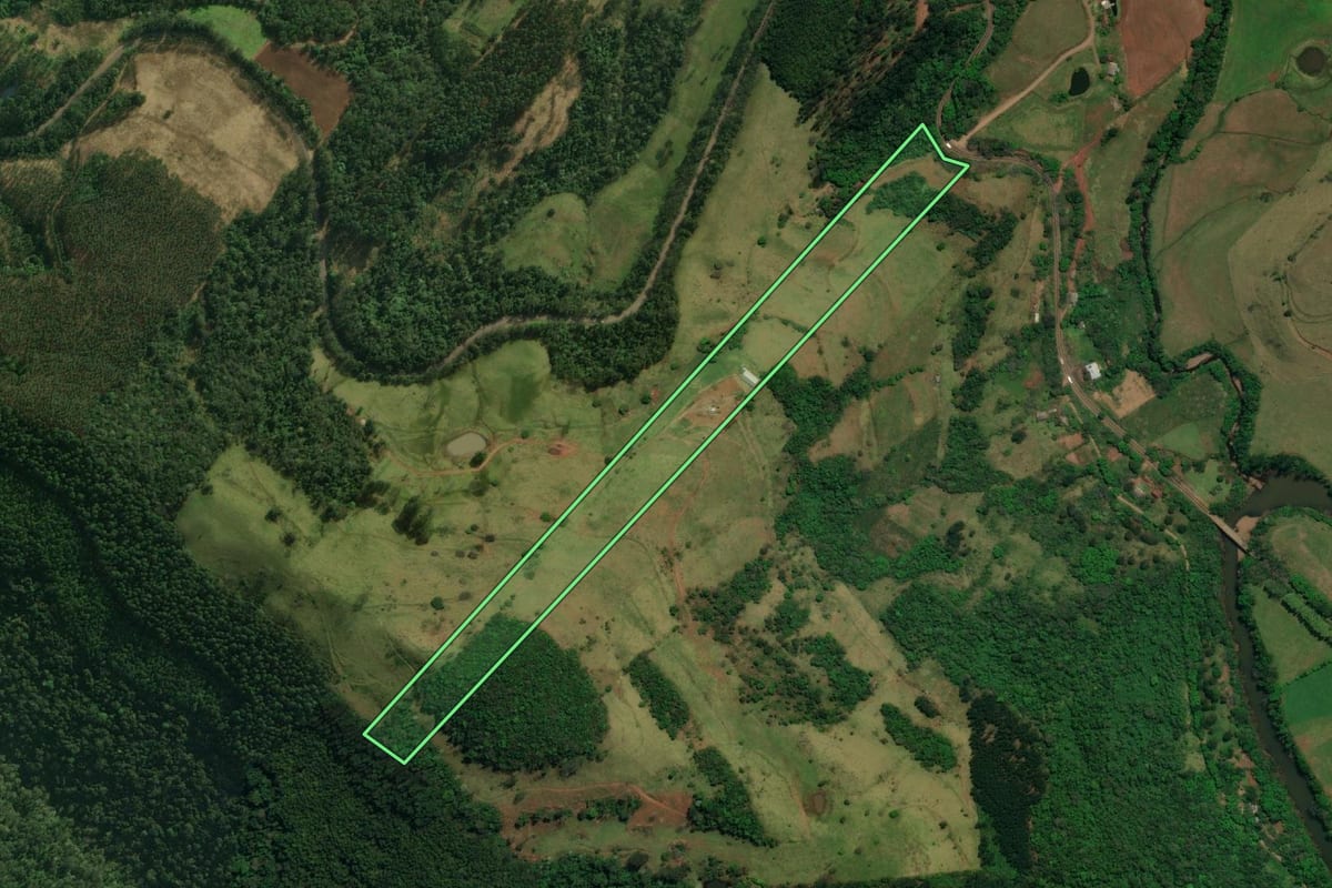 Imagem de satélite do imóvel rural em Guaraciaba (SC), com o contorno declarado no CAR desenhado por cima.