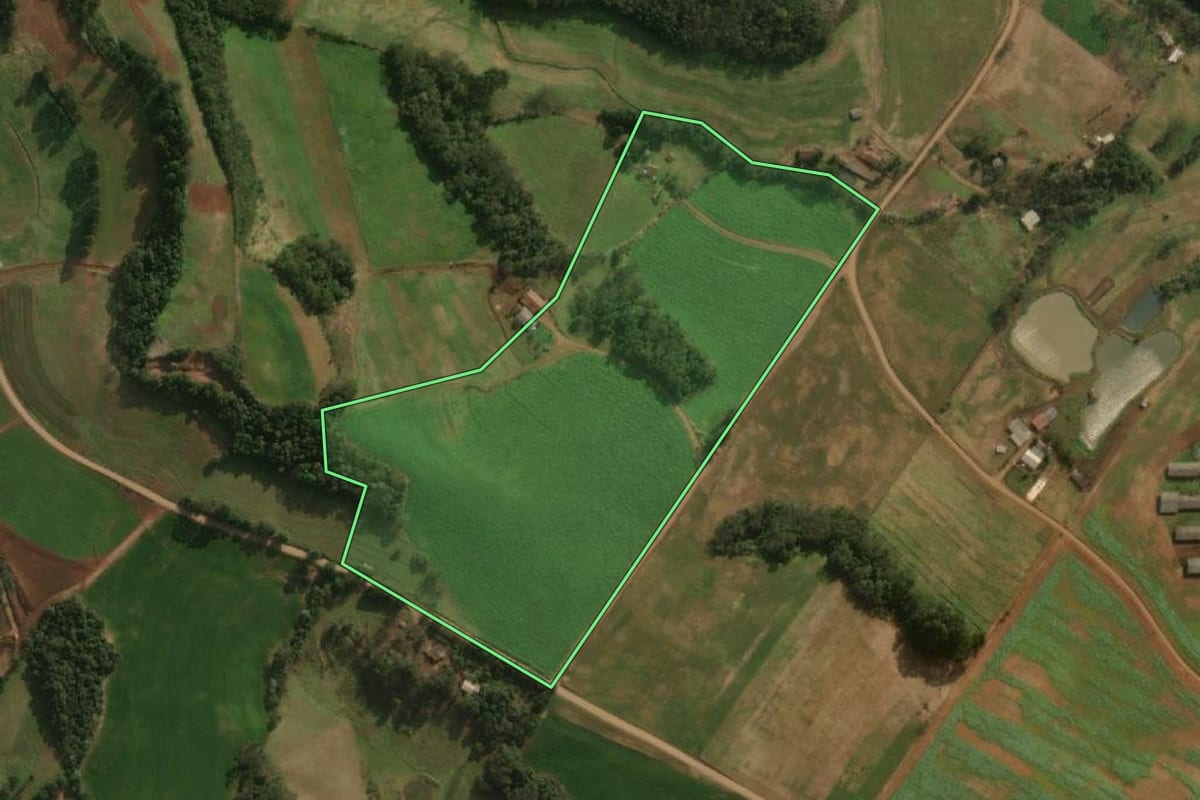 Imagem de satélite do imóvel rural em Guaraciaba (SC), com o contorno declarado no CAR desenhado por cima.