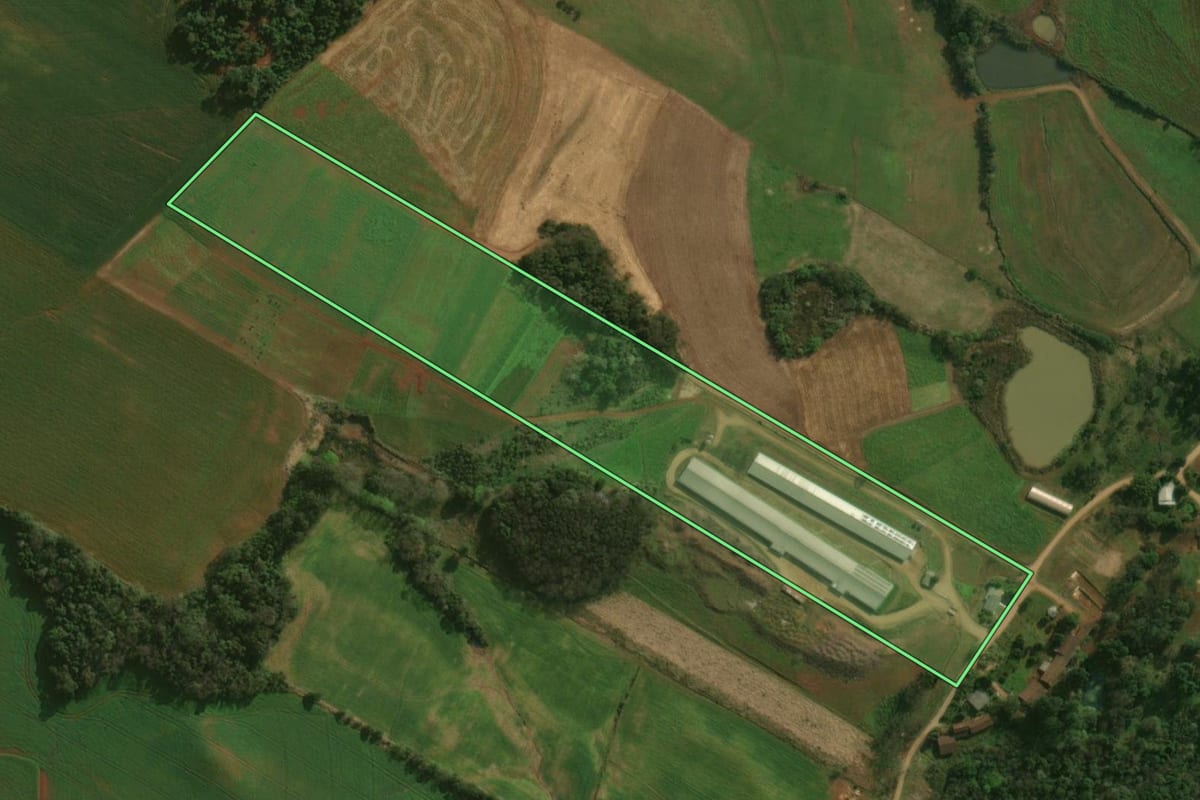 Imagem de satélite do imóvel rural em Guaraciaba (SC), com o contorno declarado no CAR desenhado por cima.