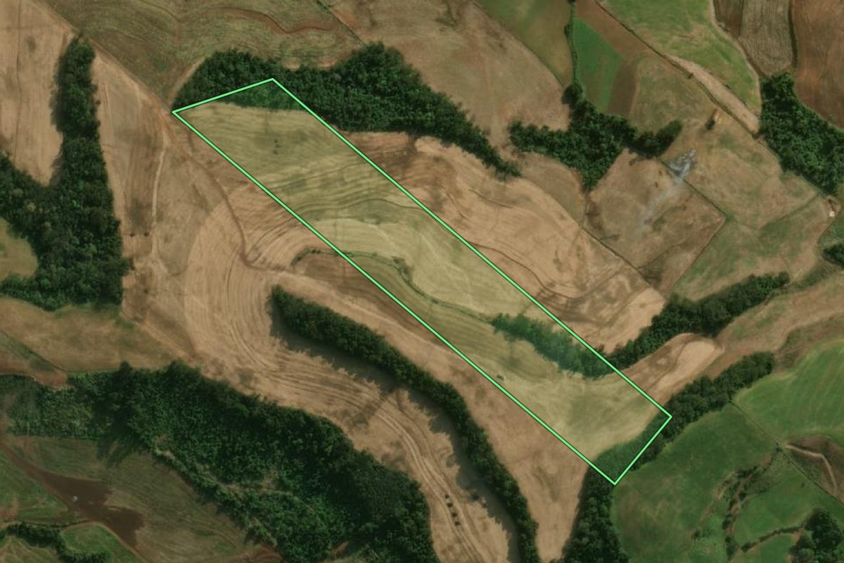 Imagem de satélite do imóvel rural em Guaraciaba (SC), com o contorno declarado no CAR desenhado por cima.