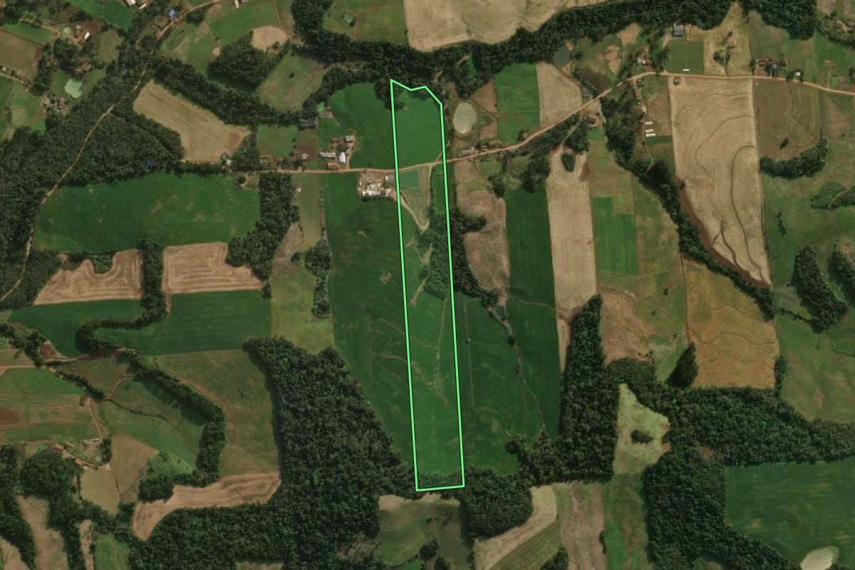 Imagem de satélite do imóvel rural em Guaraciaba (SC), com o contorno declarado no CAR desenhado por cima.